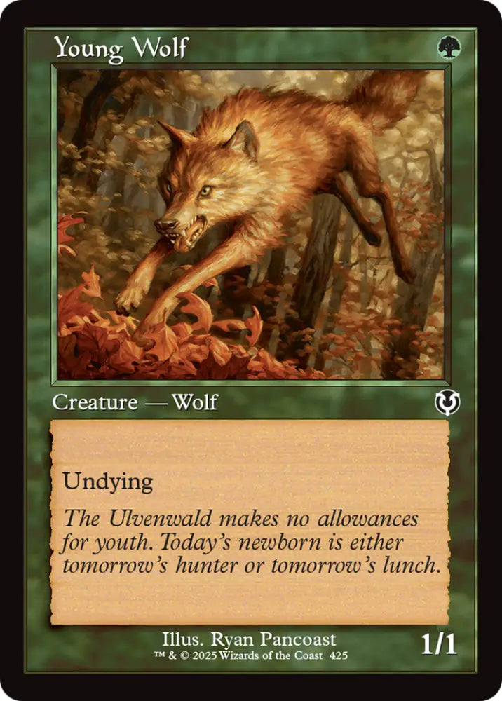 Young Wolf (Retro Frame) [Innistrad Remastered] - MTG Single