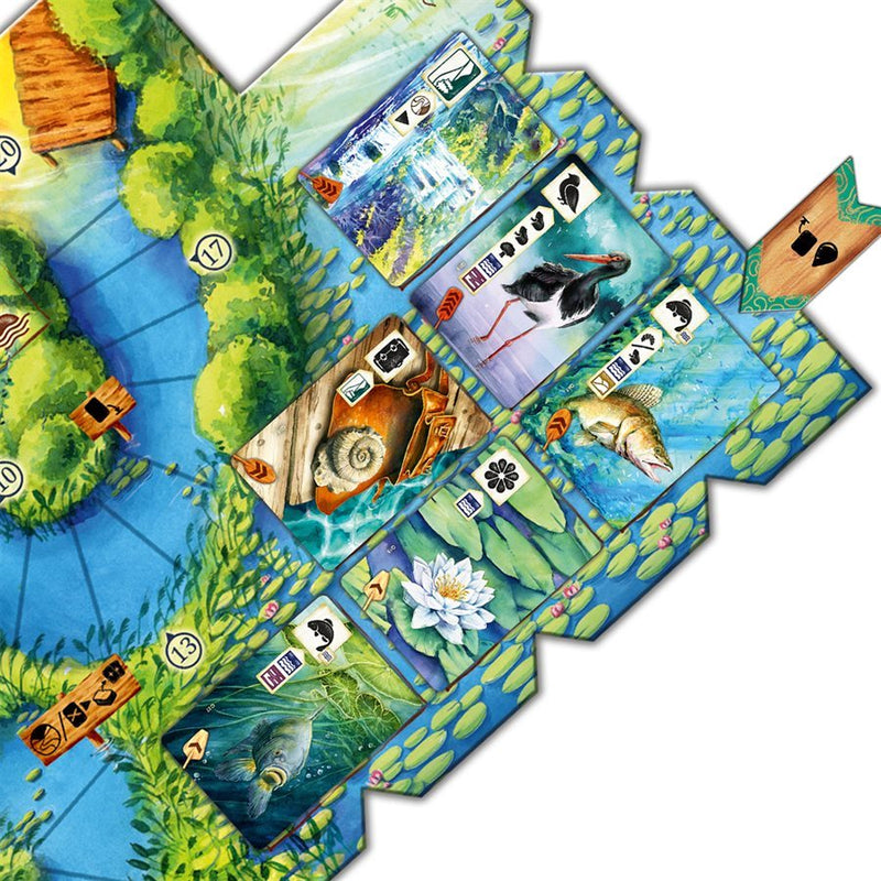 Pré : Extension en aval (ML)